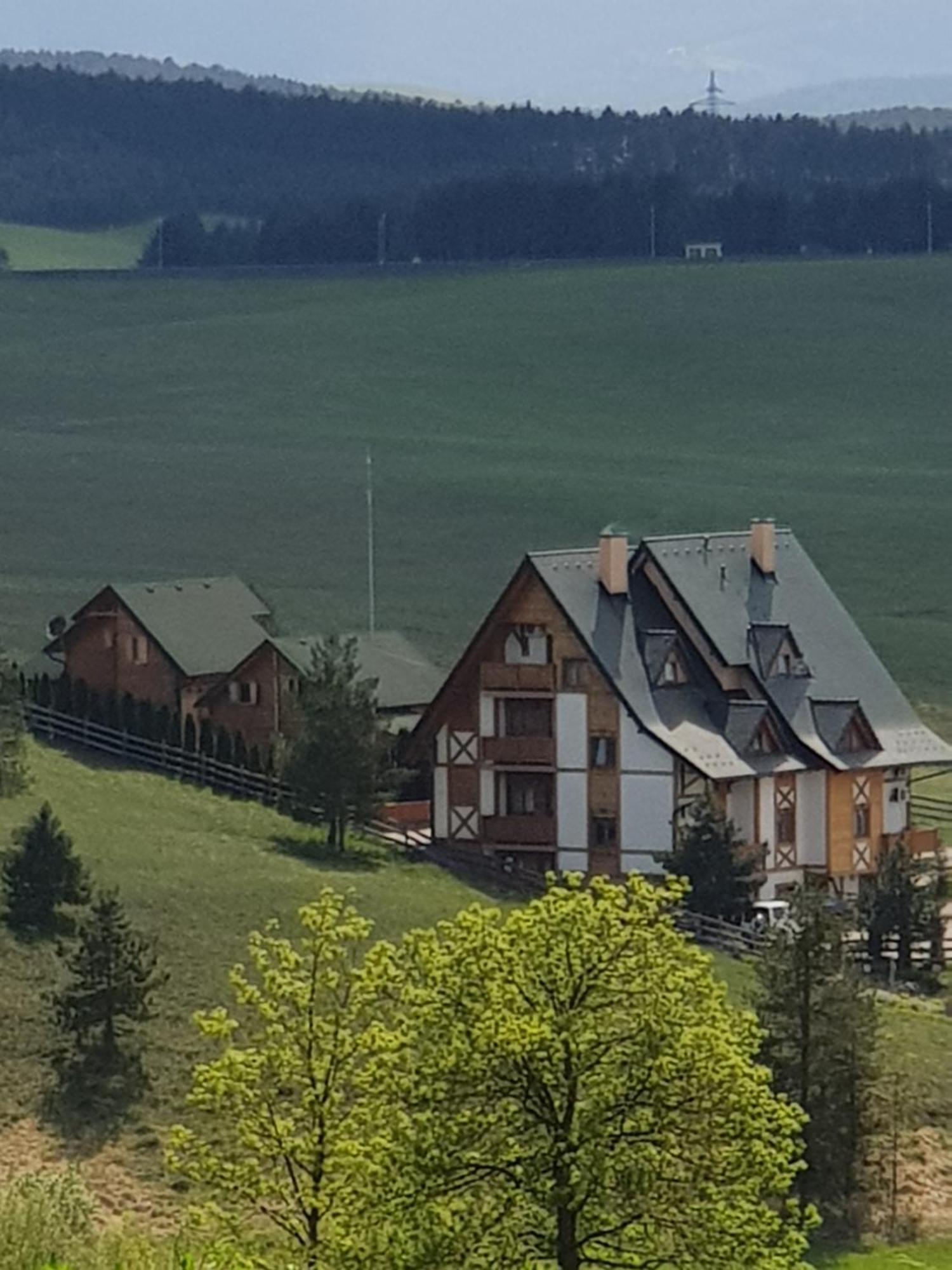 Villa Brvnare Bor Zlatibor Exterior foto